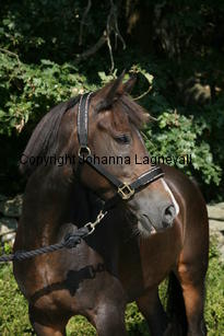 morina_5193.jpg
