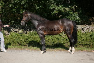 morina_5194.jpg