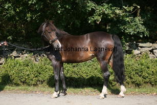 morina_5195.jpg