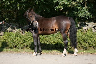 morina_5196.jpg
