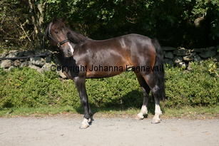 morina_5202.jpg