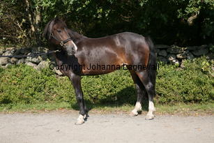 morina_5203.jpg