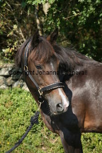 morina_5205.jpg