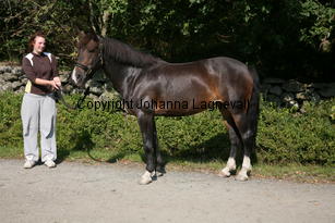 morina_5207.jpg