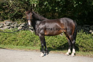 morina_5210.jpg