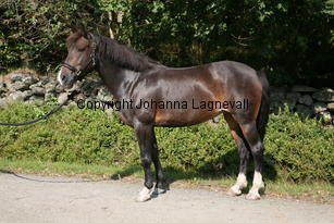 morina_5212.jpg