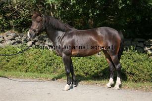 morina_5213.jpg