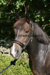 morina_5216.jpg