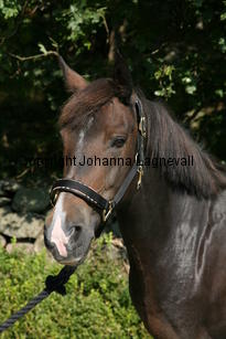 morina_5217.jpg