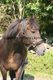morina_5236.jpg