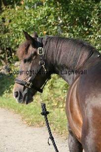 morina_5238.jpg