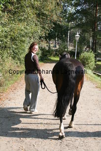 morina_5245.jpg