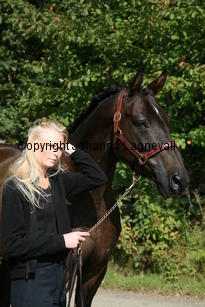 rinaldo_4879.jpg