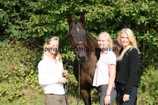 rinaldo_4959.jpg