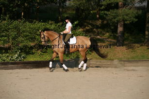 twist_5818.jpg