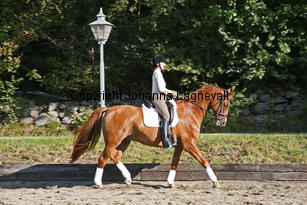 debut_3857-2.jpg