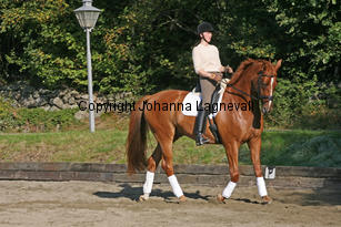 debut_3870-2.jpg