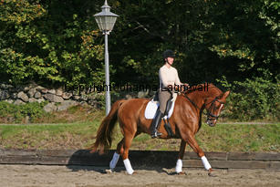 debut_3877-2.jpg