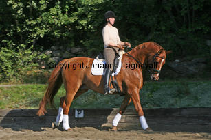 debut_3880-2.jpg
