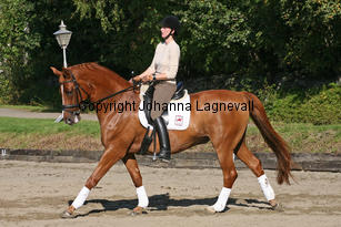 debut_3891-2.jpg