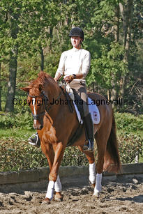 debut_3892-2.jpg