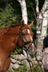 debut_4839.jpg
