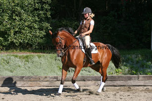 magic_4229-2.jpg