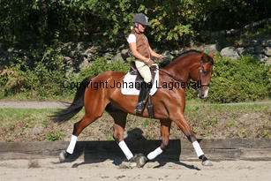 magic_4240-2.jpg