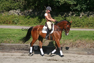 magic_4264-2.jpg