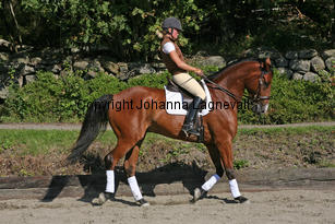 magic_4270-2.jpg