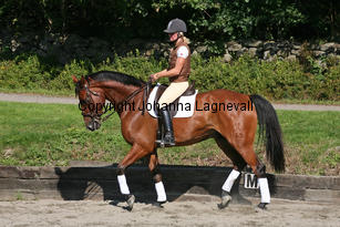magic_4307-2.jpg