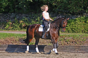 narnia_3783-3.jpg