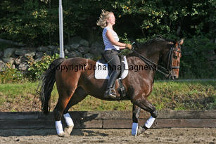 narnia_3785-2.jpg