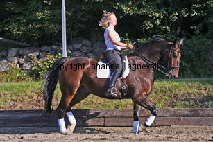 narnia_3785-3.jpg