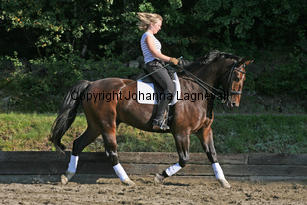 narnia_3787-2.jpg
