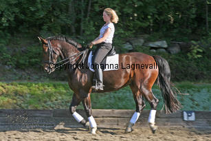 narnia_3834-3.jpg