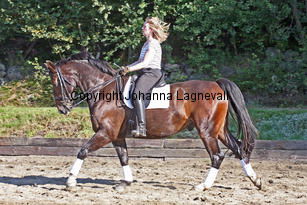 narnia_3841-2.jpg