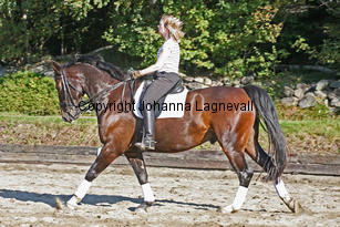 narnia_3844-2.jpg