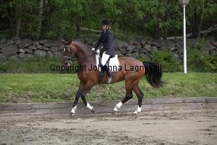 dominette_5773.jpg