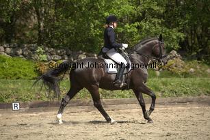 weltstern_6420.jpg