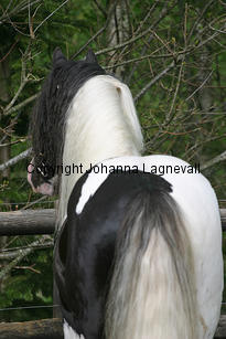casino_7290_3.jpg