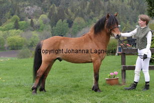 giro_7107.jpg