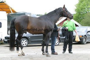 rexgotthard_7142.jpg