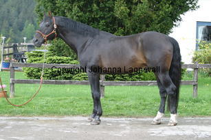 rexgotthard_7278.jpg