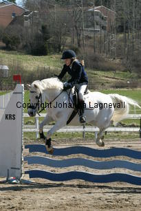 felicia_edensideceilidh_179_7964.jpg