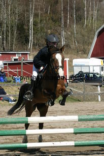 emma_baymatch_180_8009.jpg