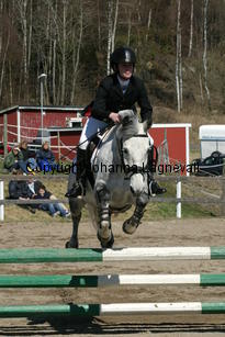 sandra_greybazil_180_8016.jpg