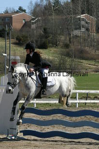 sandra_greybazil_180_8017.jpg