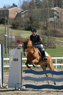 sara_mickie_180_8045.jpg