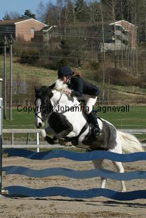 albertina_brenda_181_8157.jpg